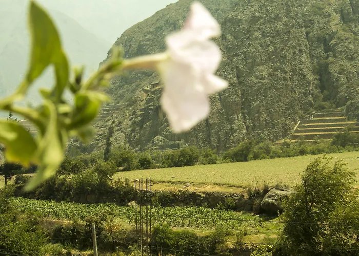 Inka Khawarina Tambo Ollantaytambo